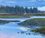 Landscapes - Lake