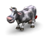 Brown Cow