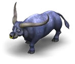 Buffalo