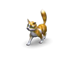 Cat 1
