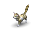 Cat 3