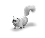 Cat 5
