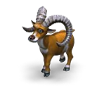 Goat