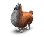 Llama