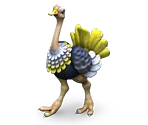 Ostrich