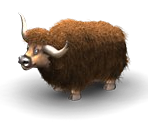 Yak