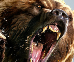 Game Banners & Icon