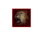 DLC Icons