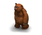 Brown Bear