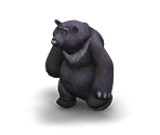 Grizzly Bear