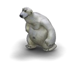 White Bear