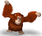 Orangutan
