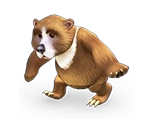 Brown Bear