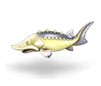 Sturgeon