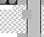 Stage 5