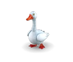 Goose