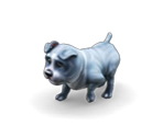 Dog 4
