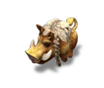 Boar (Asgard)