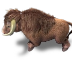 Bull