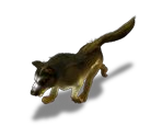 Dog (Asgard)