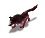 Dog (Fire World)