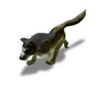 Dog (Lesheym)