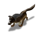 Dog (Midgart)