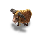 Ram (Asgard)