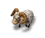 Ram (Midgart & Lesheym)