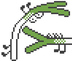 Negiwani-kun