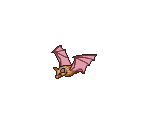 Bats