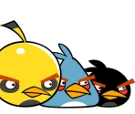 Birds
