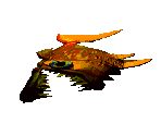 Blub