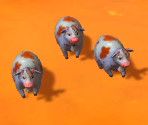 Walkthrough Images