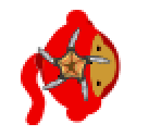 Boomerang (Upgraded)