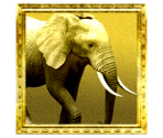 Trophy Icons