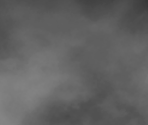 Fog