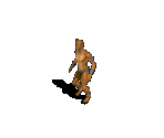 Nephil 01