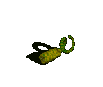 Crawler