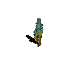 Human 11
