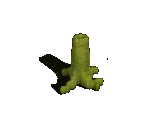 Fungus