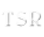 Fonts