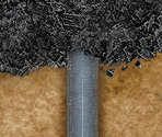A06