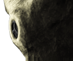 D09