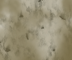 Common Sky Elements