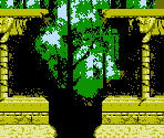 Stage 4