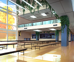 School