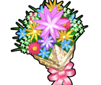 Items