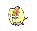 Pidgeot