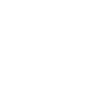 Wizard